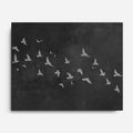 Birds of the Air