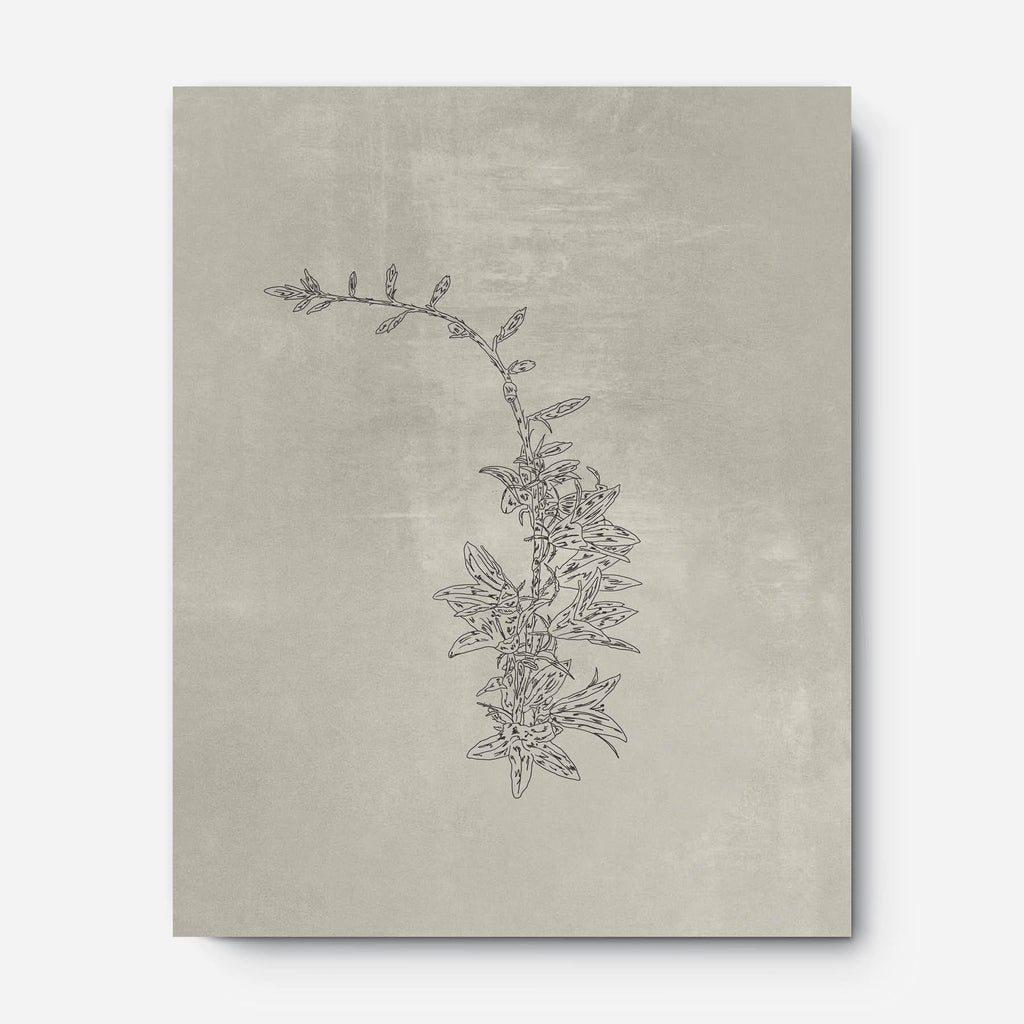 Flower Sketch 3 (Digital)