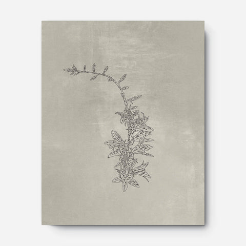 Flower Sketch 3 (Digital)